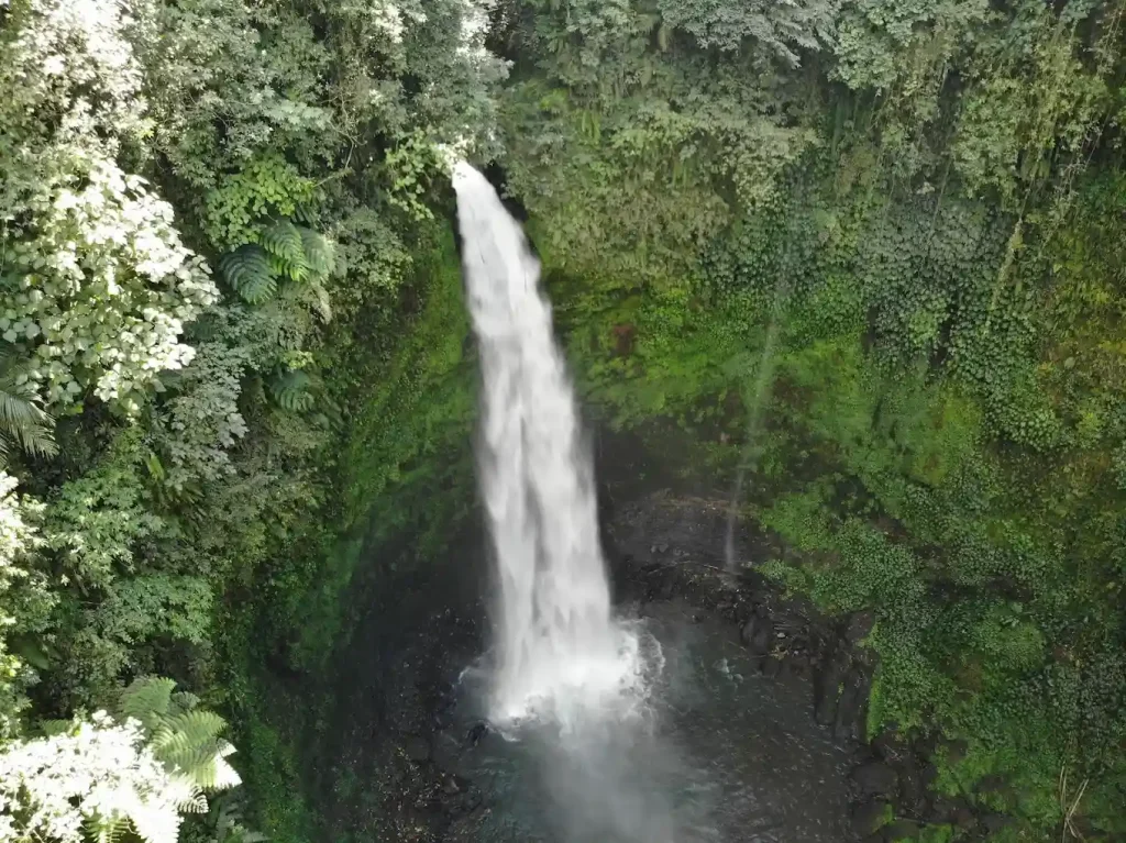 guide visit nungnung waterfall bali