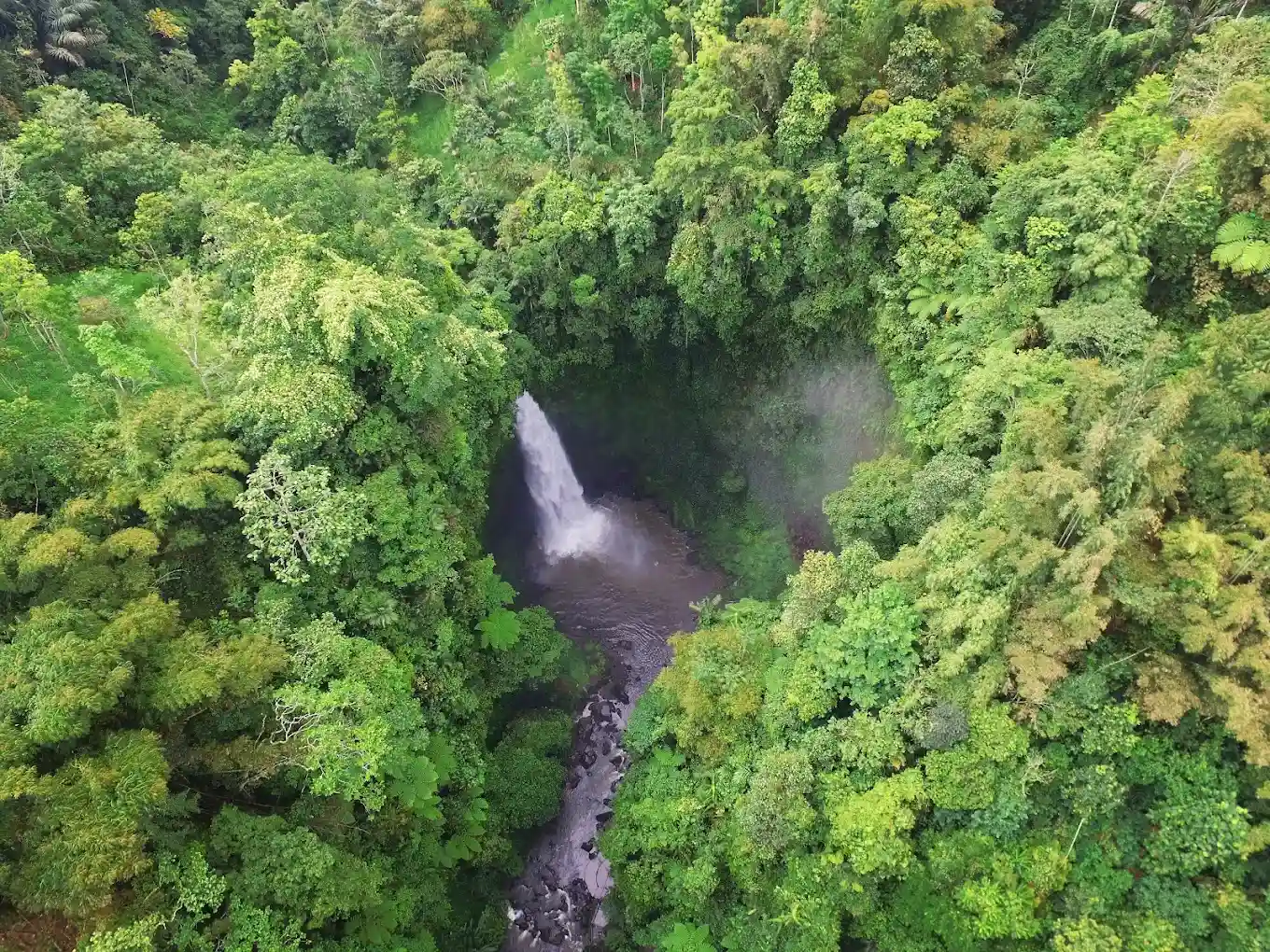 how to get the nungnung waterfall bali